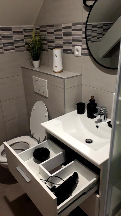 Cosy Chambre Chez Habitant 5Mn Aeroport Roissy Cdg Hotel Le Mesnil-Amelot Kültér fotó